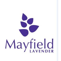 Mayfield Lavender logo