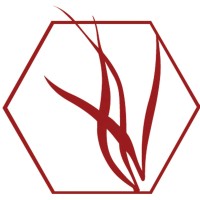 R.D. Alchemy logo