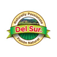 DEL SUR USA logo