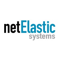 NetElastic Systems logo
