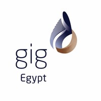 Gig Insurance - Egypt