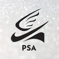 Professional Skaters Association logo
