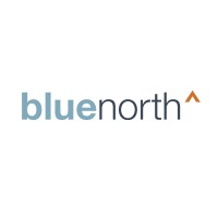 Blue North Strategies logo