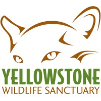 Yellowstone Wildlife Sanctuary logo