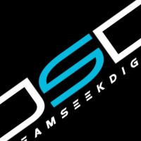 Image of DreamSeek Digital