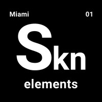 Skn Elements logo