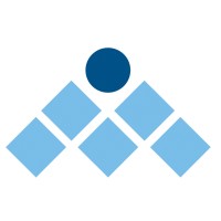 Management Solutions International (MSI) logo