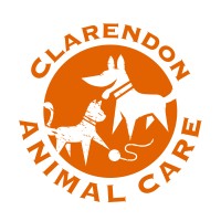 Image of Clarendon Animal Care