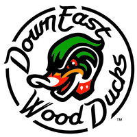 Image of Down East Wood Ducks