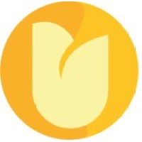 The Little Tulip Daycare logo
