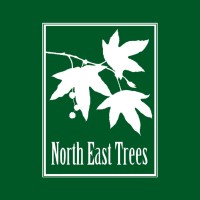 North East Trees logo