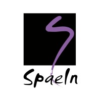 Spae International Consulting Firm logo