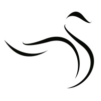 Black Swan Analysis logo