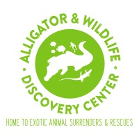 Alligator Attraction LLC logo