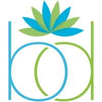 Bravia Dermatology Group logo
