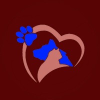 Spring Creek Animal Hospital logo