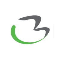 Boundless Assistive Technology logo