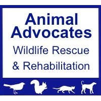 Animal Advocates logo