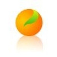 Citrus Lending Inc. NMLS # 326484 logo