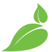 Bambu Organic Massage logo