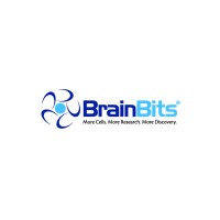 BrainBits LLC logo