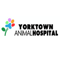 Yorktown Animal Hospital logo