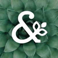 Bloom & Branch Organic Spa logo