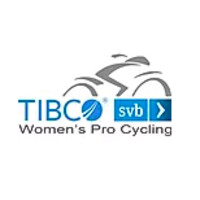 Image of Team Tibco Silicon Valley Bank