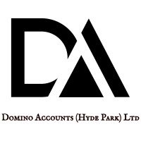 Domino Accounts (Hyde Park) Ltd logo