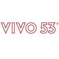 VIVO 53 logo