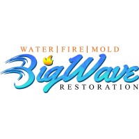 Big Wave Restoration logo