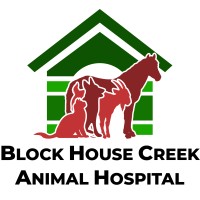 Block House Creek Animal Hospital logo
