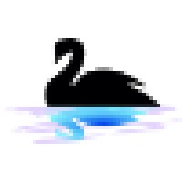 The Black Swan Hedge Fund logo