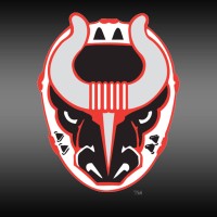 Birmingham Bulls Hockey logo