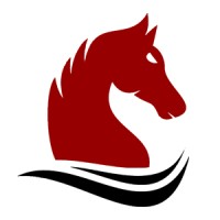 Mustang Capital logo