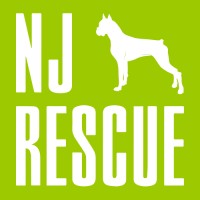 New Jersey Boxer Rescue logo