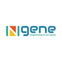 Ngene logo