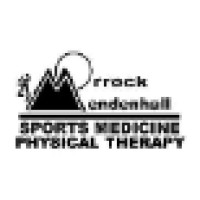 Professional Physical Therapy & Sports Medicine logo