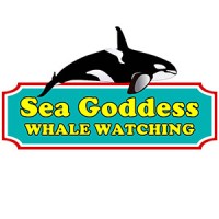 Sea Goddess Whale Watching logo