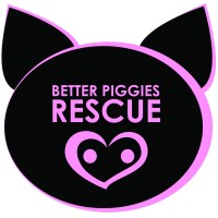 BETTER PIGGIES RESCUE logo