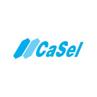 Casel logo