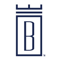 Blue Lion Salon Studios logo