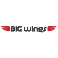 Big Wings LLC logo