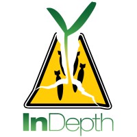 InDepth Corporation logo