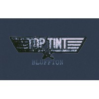 Top Tint Of Bluffton logo