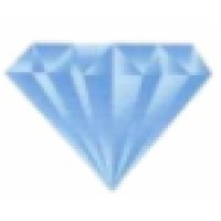 Diamond Shipping Services PVT LTD logo
