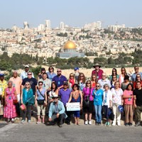Israel Tourism Consultants logo