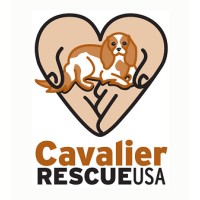 Cavalier Rescue USA logo