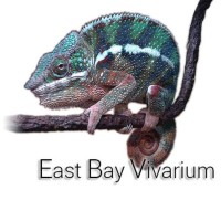 East Bay Vivarium logo