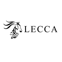 Lecca Group Pte Ltd logo